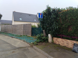 Photo de galerie - Abattage petit chêne avec évacuation 
