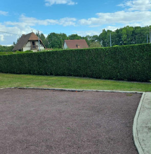 Photo de galerie - Taille de thuya avec évacuation 