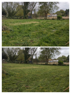 Photo de galerie - Remise en état de jardin 