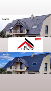 Photo de galerie - Traitement anti mousse et nettoyage de la toiture