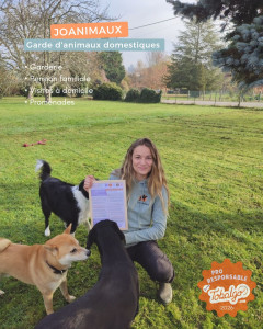 Photo de galerie - Vous pouvez me trouver sur la plateforme Tobalgo.