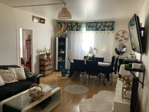 Photo de galerie - Idée de salon, décorer après avoir nettoyé