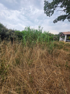 Photo de galerie - Avant 