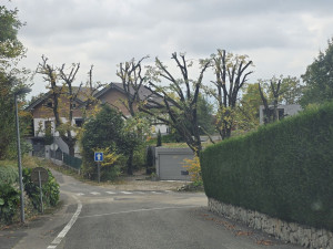 Photo de galerie - Mes travaux 