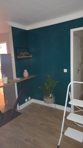 Photo de galerie - Peinture et installation d'étagères