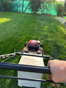 Photo de galerie - Tonte 