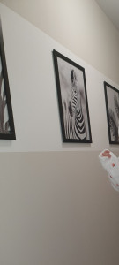 Photo de galerie - Peinture mur + pose de cadre
