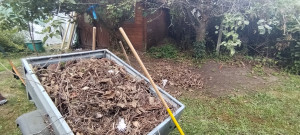 Photo de galerie - Nettoyage du jardin. 