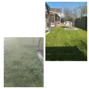 Photo de galerie - Tonte + débroussaillage . 
