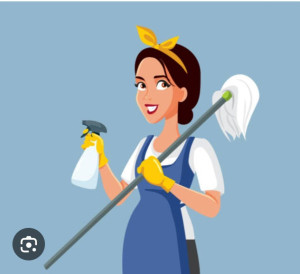 Photo de galerie - Bonjour je suis actuellement agent d'entretien en structure et je recherche des petits travaux à côté pour faire le nettoyage de votre domicile. 