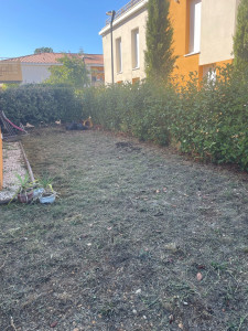 Photo de galerie - Tonte de pelouse - Débroussaillage