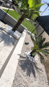 Photo de galerie - Creation massif, plantation palmier, dallage sur plot effet 