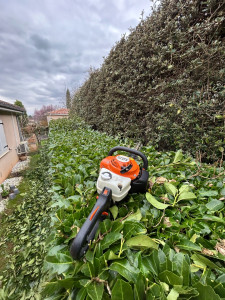 Photo de galerie - Taille de Haie - Tonte 