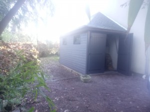 Photo de galerie - Charpente