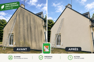 Photo de galerie - Traitement avec produit anti-mousse (Dalep 2100)
