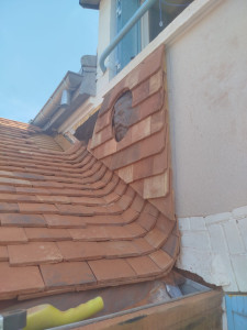 Photo de galerie - Couverture - Toiture