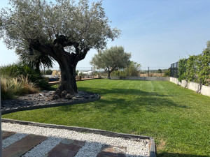 Photo de galerie - Tonte