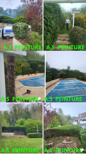 Photo de galerie - Tonte de pelouse - Débroussaillage