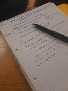 Photo de galerie - Ayant eu mon bac mention bien, et étant en études supérieures je peux tout à fait aider des enfants/ado jusque niveau lycée.
