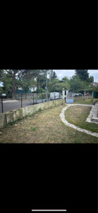 Photo de galerie - Suppression d’une haie avec évacuation 