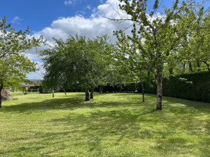 Photo de galerie - Tonte avec ramassage 