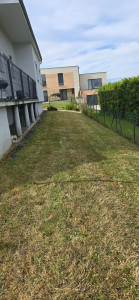 Photo de galerie - Tonte pelouse + bordure 300m²

