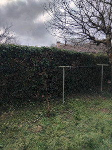 Photo de galerie - Taille  de la haie  fini