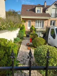 Photo de galerie - Taille du  jardin avec cisaille, taille haie