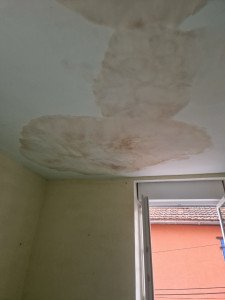 Photo de galerie - Peinture - Tapisserie