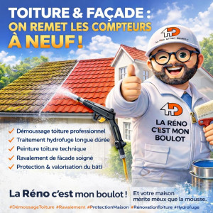 Photo de galerie - Démoussage toiture Nettoyage 