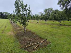 Photo de galerie - Jardinier