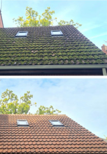 Photo de galerie - Résultats d’un traitement anti mousse.