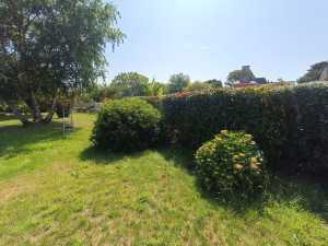 Photo de galerie - Taille 