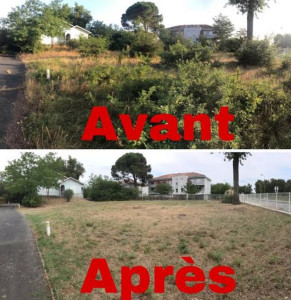 Photo de galerie - .