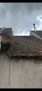 Photo de galerie - Couverture - Toiture
