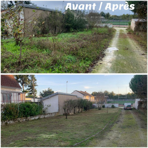 Photo de galerie - Remise en état d'un jardin avec taille de fruitiers 