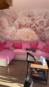 Photo de galerie - Pose d’un papier peint panoramique 