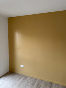 Photo de galerie - Peinture pro