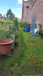 Photo de galerie - Jardinier