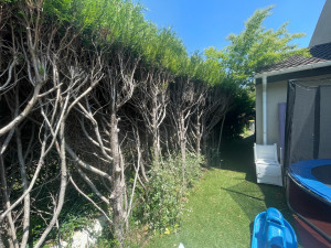 Photo de galerie - Clôture Grillage