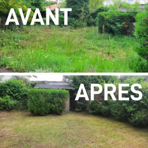 Photo de galerie - Tombe de pelouse. Nettoyage.