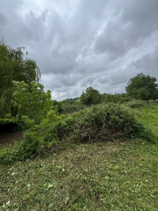 Photo de galerie - Tonte de pelouse - Débroussaillage