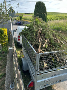 Photo de galerie - Je vous propose me service pour vos débarras 