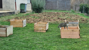 Photo de galerie - Paysagiste - Aménagement du jardin