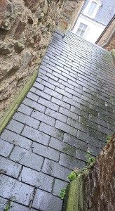 Photo de galerie - Couverture - Toiture