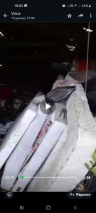 Photo de galerie - Nettoyage avant 