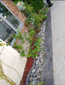 Photo de galerie - Jardinier