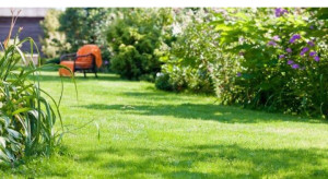 Photo de galerie - Tonte de pelouse de qualité 