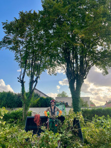 Photo de galerie - Elagage de 2 tilleuls