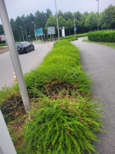 Photo de galerie - Taille 